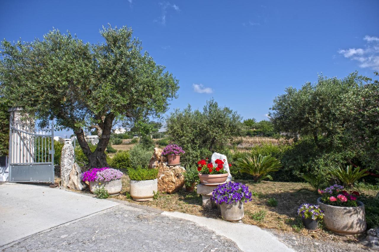 B&B Il Brigante Alberobello Extérieur photo